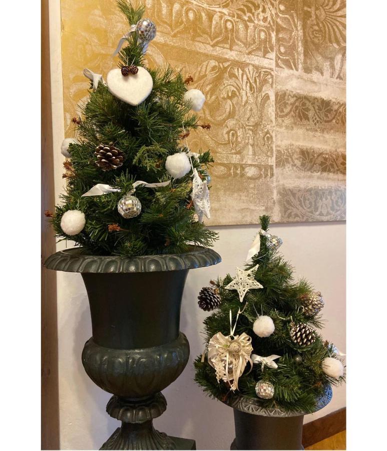 Albergo Garni Cavento Pinzolo Bagian luar foto